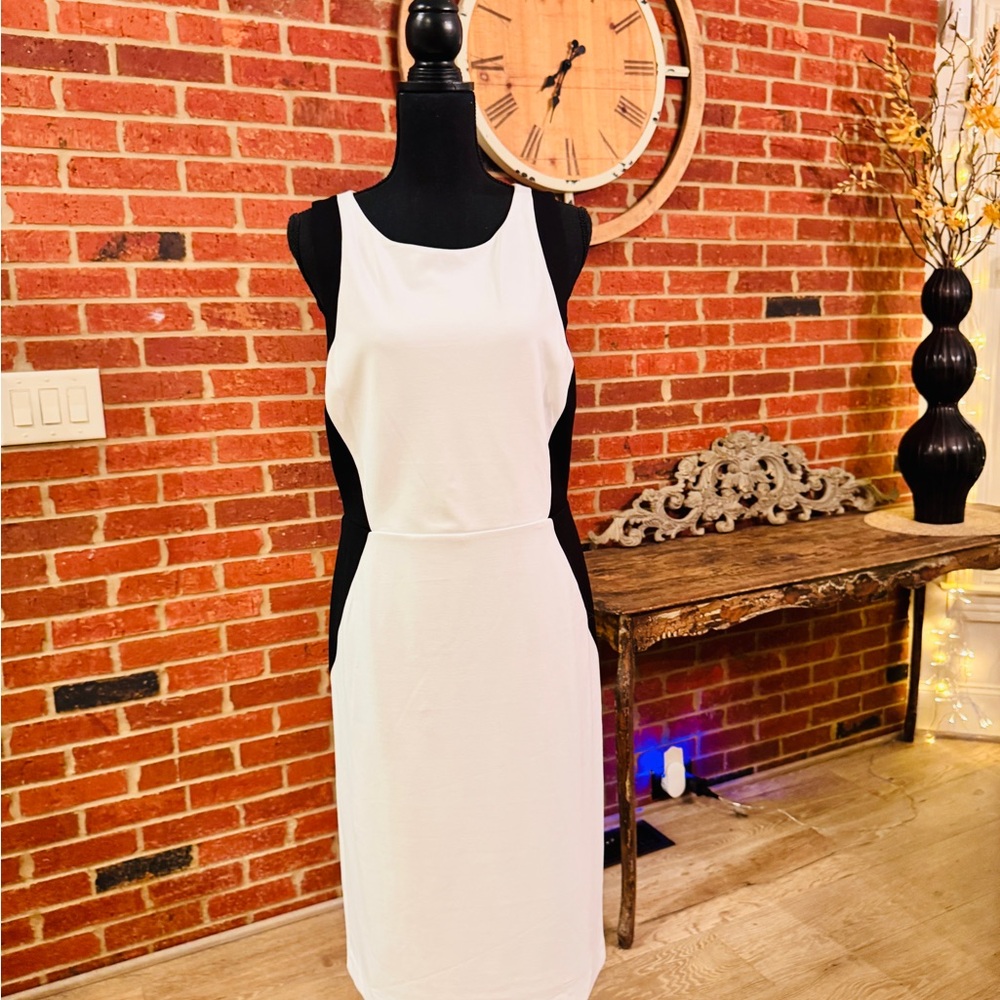 WHBM Sleeveless Colorblock Dress